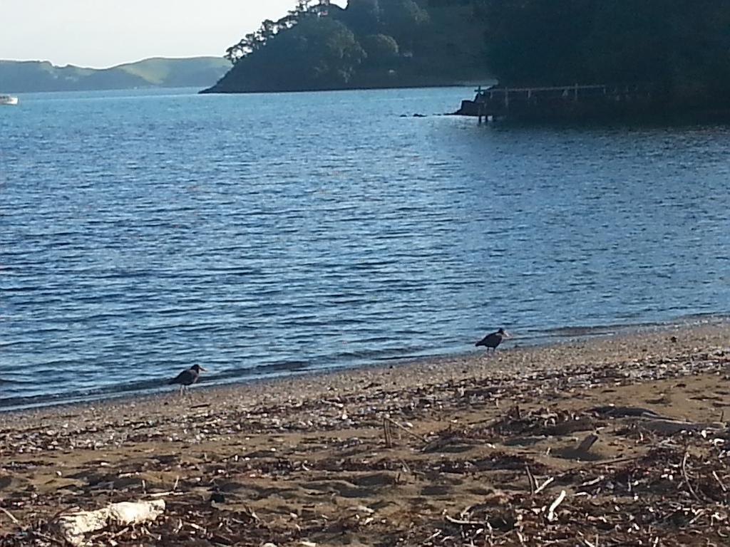 Oamaru Bay Tourist Park Coromandel Exterior foto